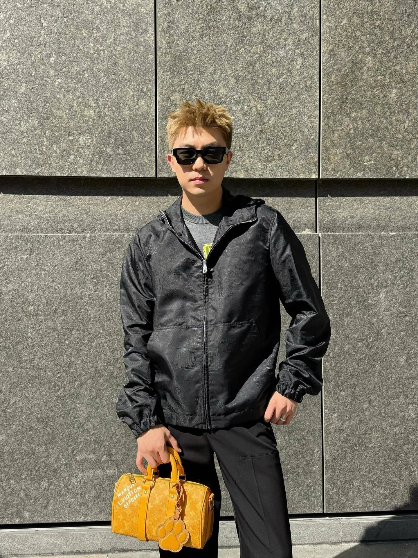 Louis Vuitton/Louis Vuitton 25Fw dog walking dark pattern jacquard windbreaker jacket